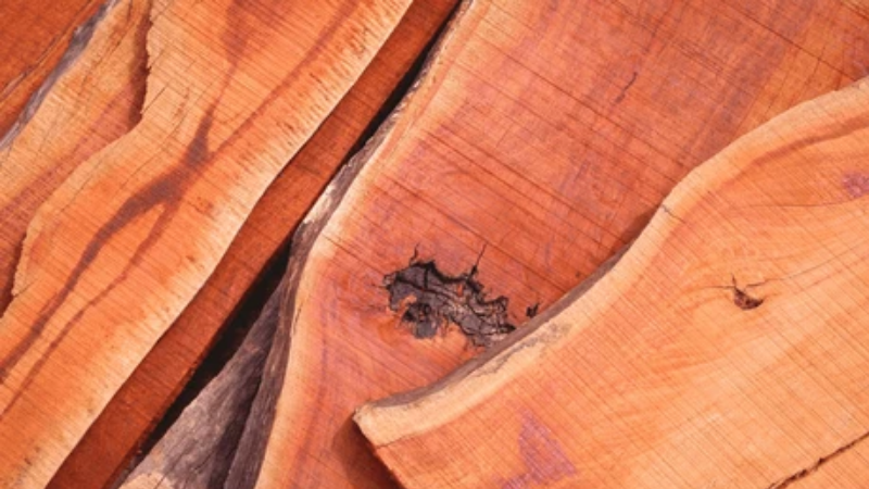 padauk wood (2)