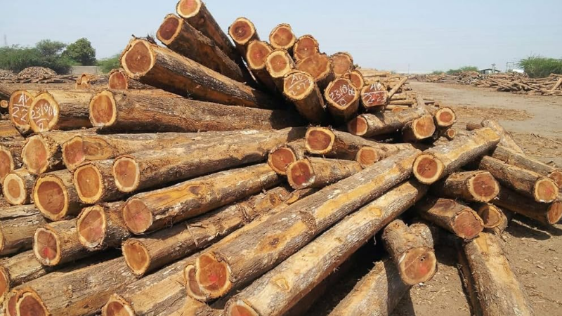 teak wood